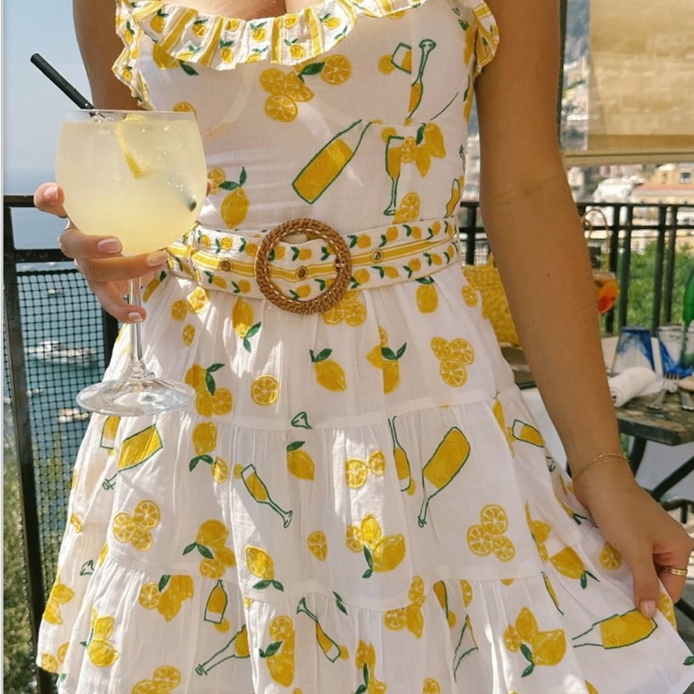 Jolene Mini Dress limoncello embroidery